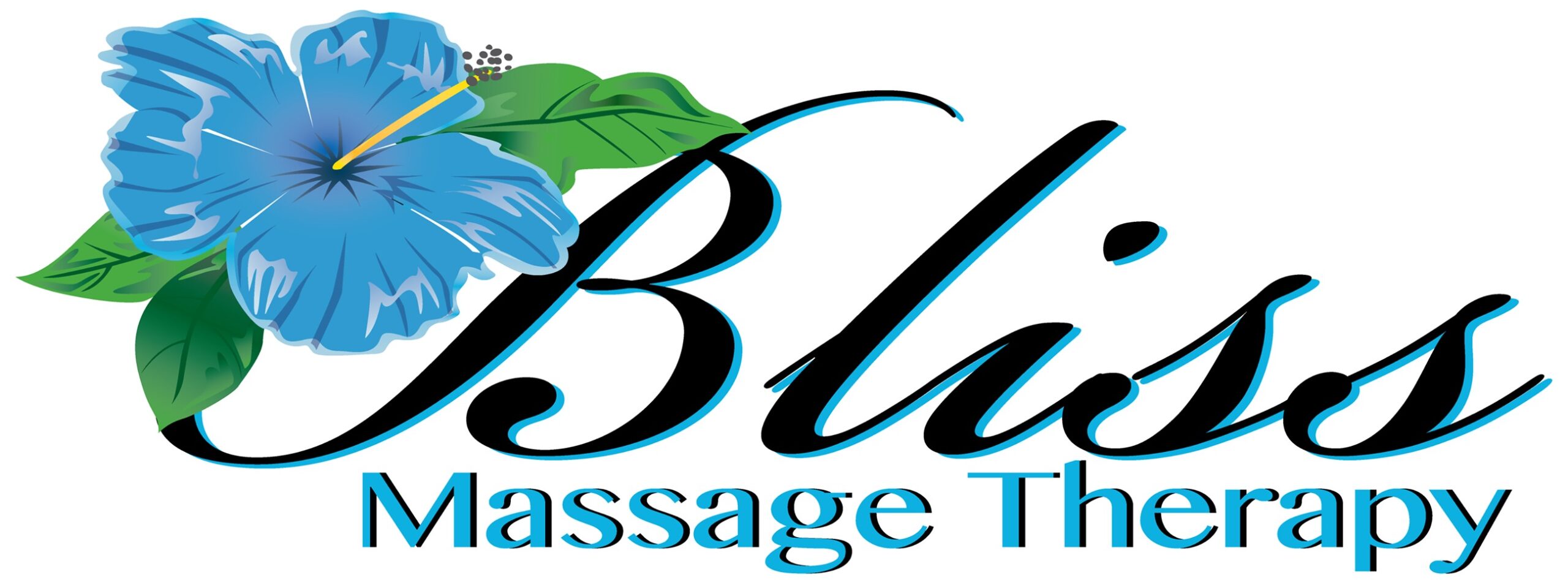 Bliss Massage Therapy LLC
